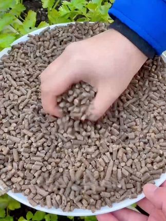 #种菜神器豆粕肥# 种菜别瞎应付!豆粕肥,两把兑一桶水隔夜可用。比化肥温和长效,无农家肥臭味。富含多种营养,适用花卉蔬果,速试!#种植小技巧 #在家种菜 #家庭种植 #豆粕