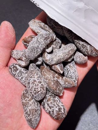 一口沦陷啊!像嘴巴里装空调的感觉谁懂!上班或者开车犯困来一颗,清凉的薄荷混合着橄榄的甘甜!咸甜回甘真的好好吃!#薄荷橄榄条 #橄榄 #强烈推荐 #清爽解腻