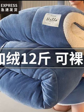 羊羔绒被子被芯加厚冬被棉被保暖冬天加绒单人牛奶绒春秋被