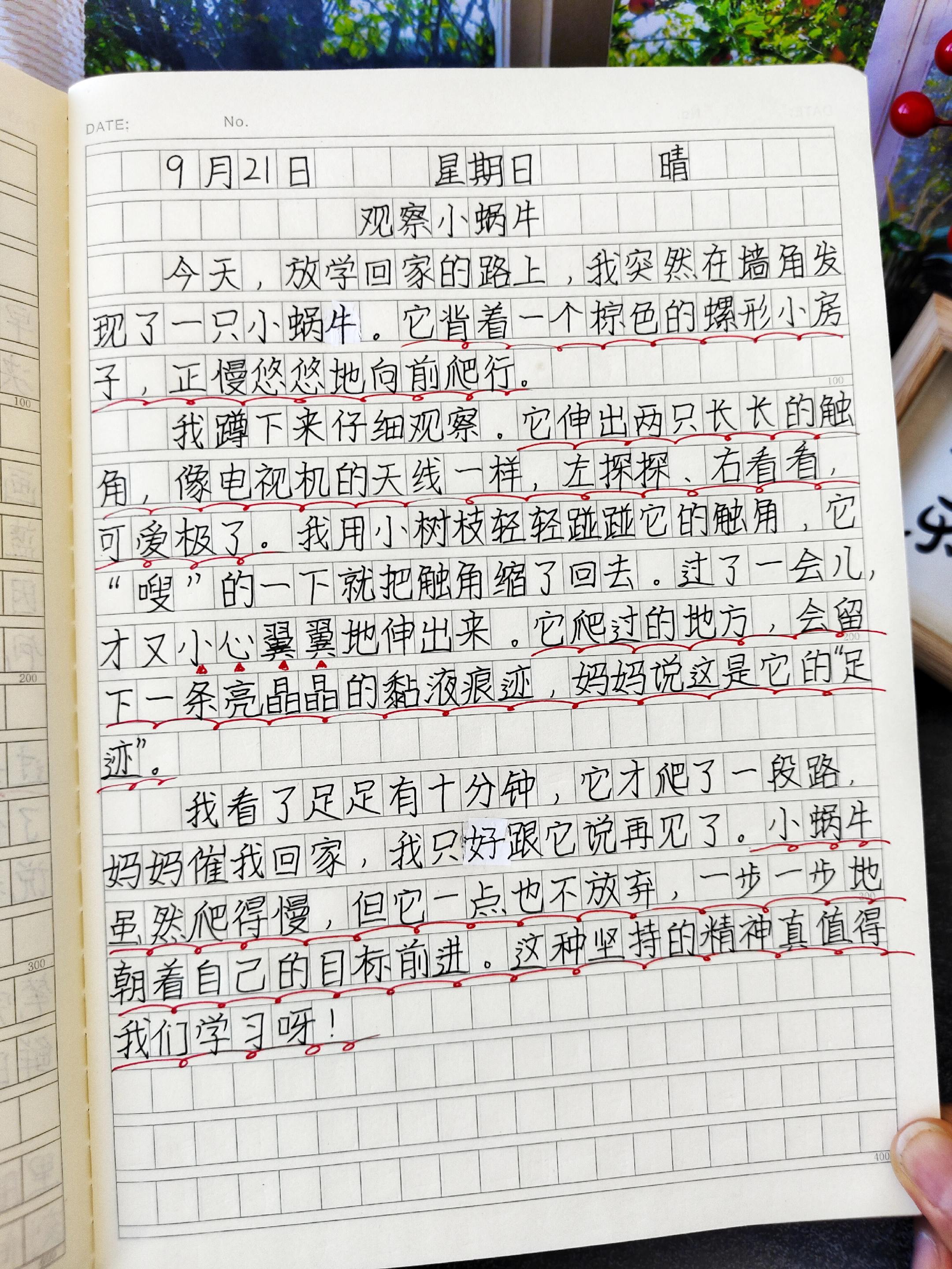 #三年级 第二单元习作《写日记》。三年级孩子开始要写300字大作文了,孩子不会写,可以参考这本同步作文学习,有写作方法指导,各类素材积累,还有同步课文的多篇范文可以阅读 #小学作文#同步作文#好书推荐
