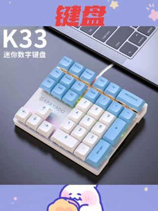 #键盘 33键机械数字小键盘有线 线青轴红轴财务会计办公游戏笔记本电脑台式#键盘推荐机械键盘
