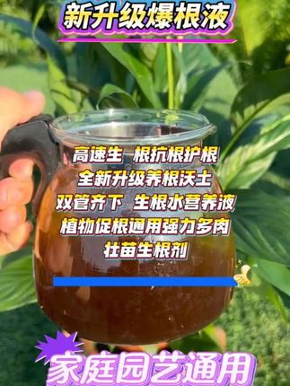 植物爆根神器,让绿植根系“炸开”式生长! 还在为植物根系弱、长势差发愁吗?试试这款新升级爆根液! 它蕴含黑金精粹,能激发植物根系“爆发生长力”,不仅促进新根猛生,还能抗倒护根,让你的花草、绿植根系发达如网,吸收力拉满,叶片更翠绿、开花更繁茂! 不管是水培、土培植物,有了它,根系蹭蹭长,植物越长越精神,养花种菜轻松get好状态~#植物生根液 #壮根壮苗膨大根茎 #植物种植 #植物通用营养液 #植物