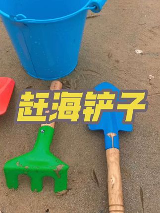 #赶海铲子 #挖沙铲子