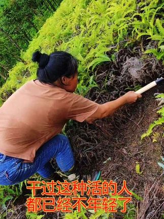 #原创视频 #我的农村生活 #新农人计划 #创作者伙伴计划 @传祺向往 #向往的生活9这样