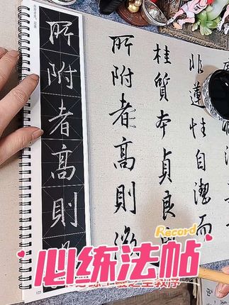 学书必练王羲之圣教序 怀仁集王羲之圣教序单字放大版4册 静文轩近距离临摹字帖#书法入门 #零基础学书法