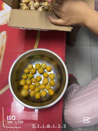 偷拍我的宝贝们吃姑娘果,看她们吃的多开心#应季水果 #快来一起尝个鲜 #舌尖上的诱惑