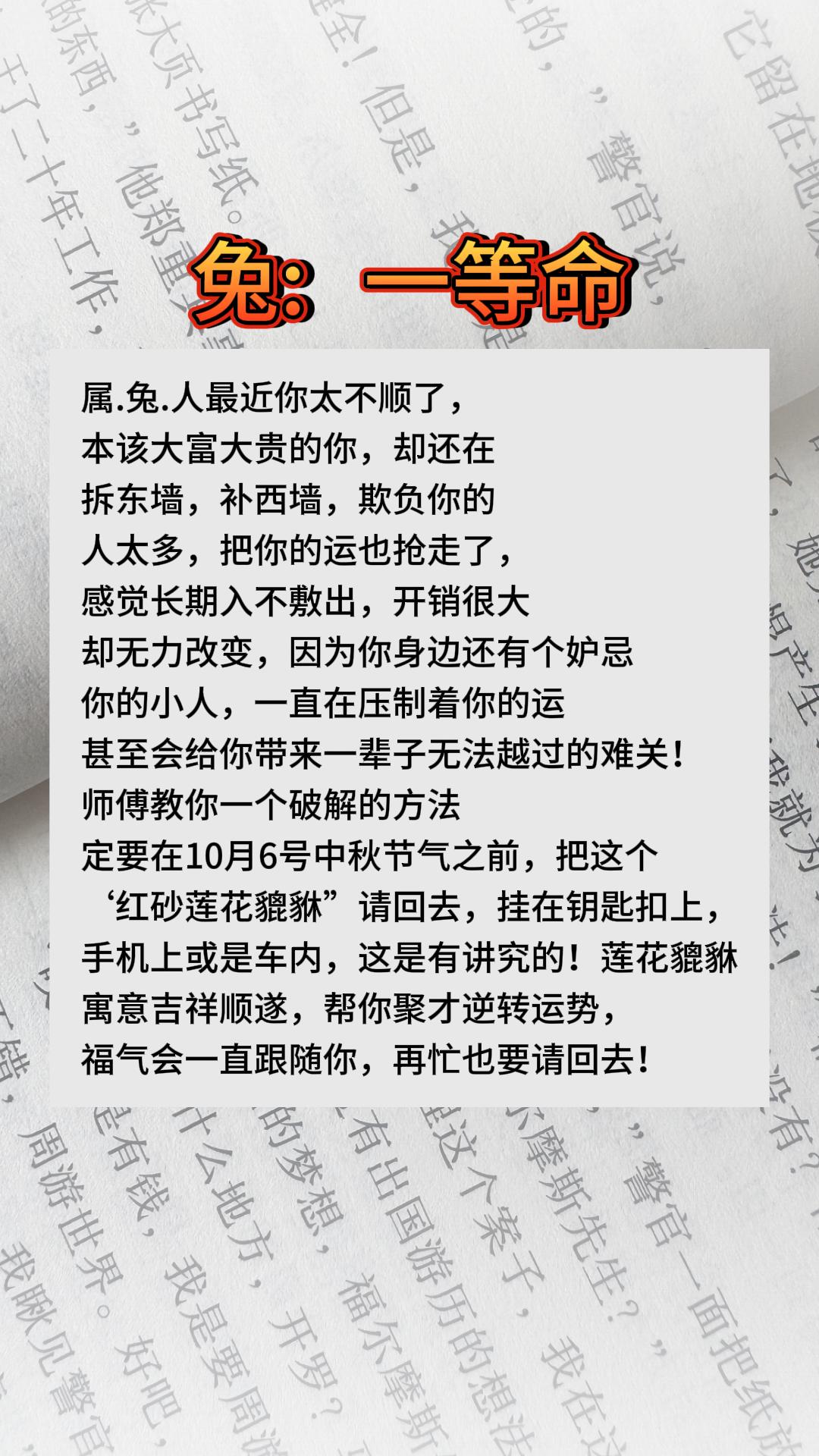 #兔