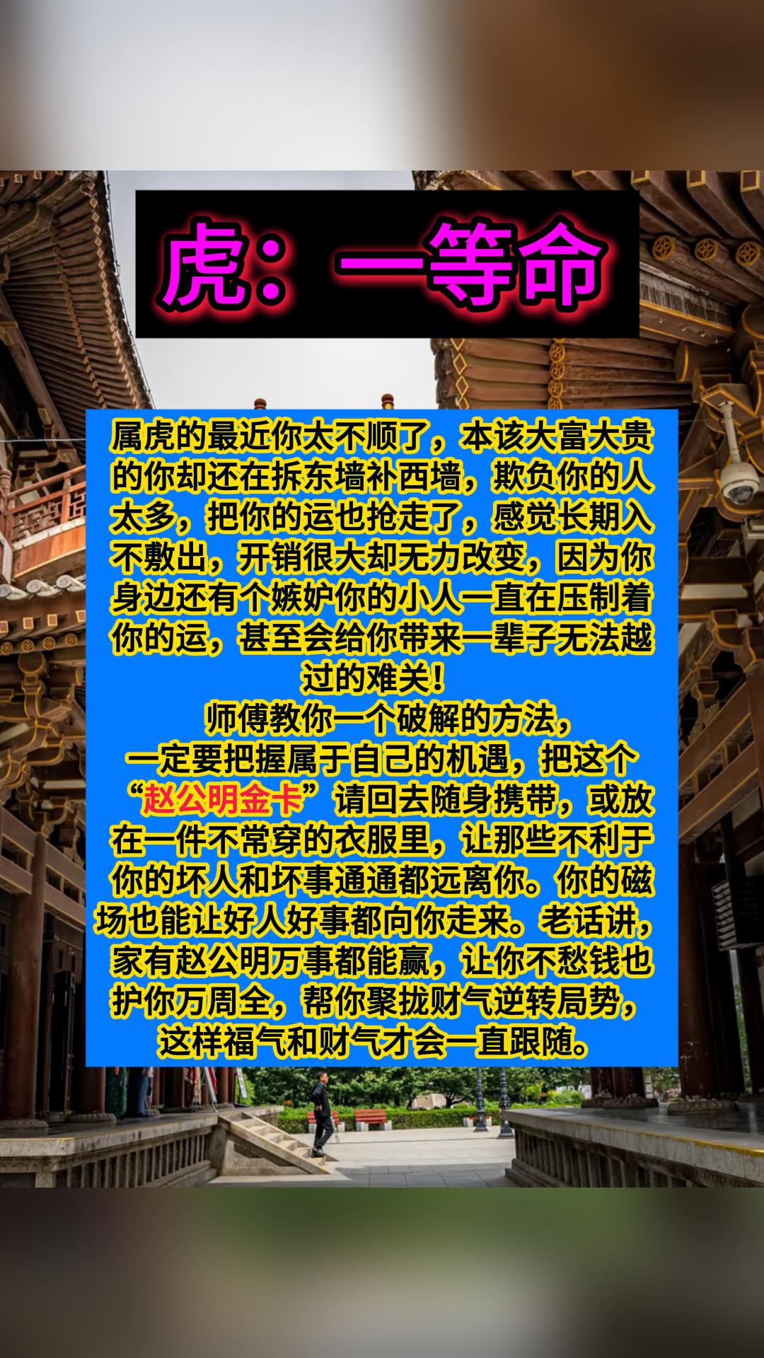 #虎 #生肖虎
