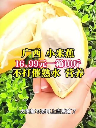 广西巴马 #小米蕉 #香蕉#农产品 #新鲜采摘