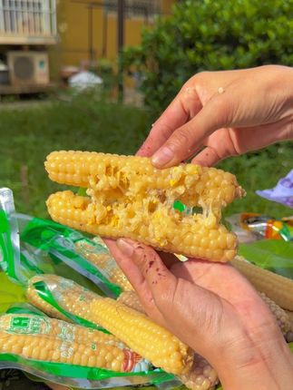 #版纳拇指玉米 爱吃好吃喜欢吃