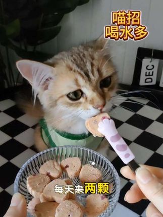 2025年了应该没有不爱喝水的小猫了叭!#喵招#喵招喝水多了#冻干#猫咪日常#科学养宠攻略
