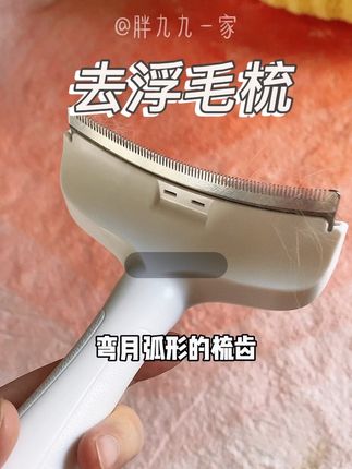 一把好的梳子能减少家里很多的猫毛#猫咪梳子 #猫咪梳子清理器去浮毛 #宠物梳子 #猫咪掉毛 #多猫家庭