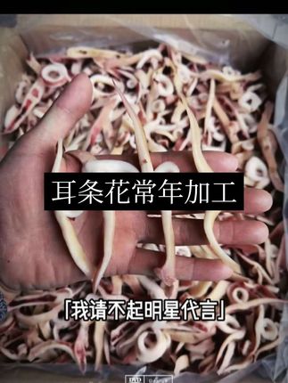 #鱿鱼耳条#新鲜鱿鱼耳条花#原汁鱿鱼耳条#火爆鱿鱼耳#鱿鱼耳条 我们都是源头工厂,现做现发需要的家人们抓紧时间下单吧。 #原汁鱿鱼耳条