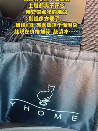#每日分享 #包包推荐 #实拍 #必备好物 #保温袋 @小莉