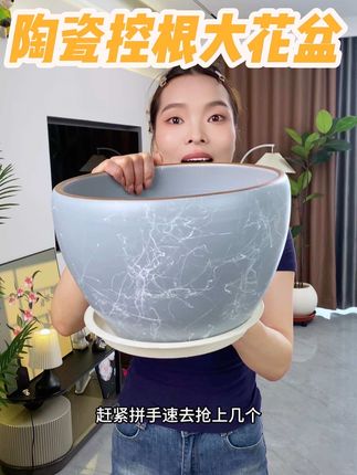 加厚陶瓷大花盆,种花种树都可以#强烈推荐 #好物推荐🔥 #绿植花卉 #花卉绿植#买到就是赚到