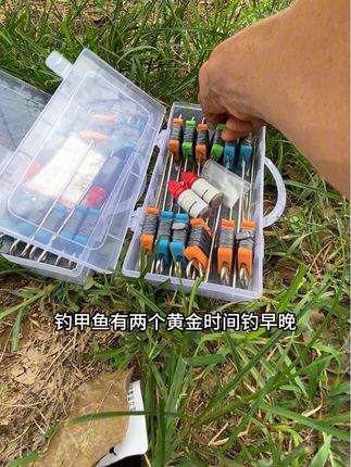#户外钓鱼 #钓甲鱼#甲鱼钩#甲鱼钩钓组 #甲鱼钩套装