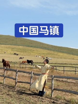 这里真的是我想要反复去的一个地方 国庆假期来这里氛围感太强了 #旅游 #旅行推荐官 #中国马镇千灯祈愿夜 #中国马镇万人篝火节 #避暑就去中国马镇