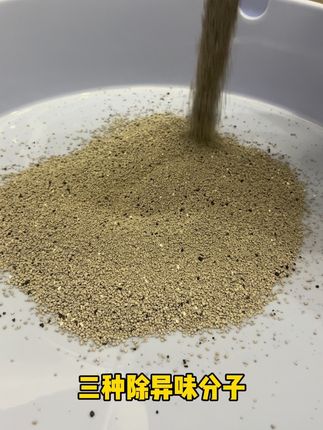 夏天选猫砂一定要除臭排第一 #除臭猫砂 #萌宠好物 #养猫人