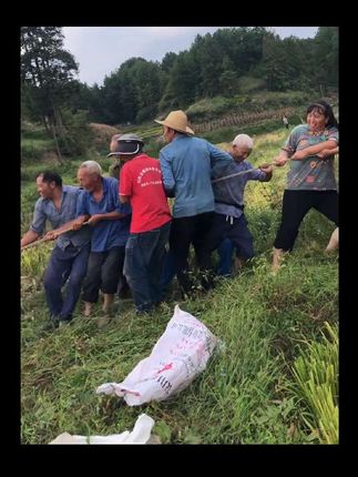 俺们安徽、 开收割机的爷们、 技术第一、 心软第一、 勤劳第一、 不管白天、还是黑夜、 带着头灯、一天干18个小时、 不叫苦、不叫累…… 在烂的、烂泥田、 只要你家里来人、找他商量了、 机器干报废、也给你家水稻收回家! 主打一个心软、善良、勤劳…… #丰收季 #水稻种植 #粒粒皆辛苦 #辛勤劳动者 #一分耕耘一分收获 🌻🌻🌻😊😊😊