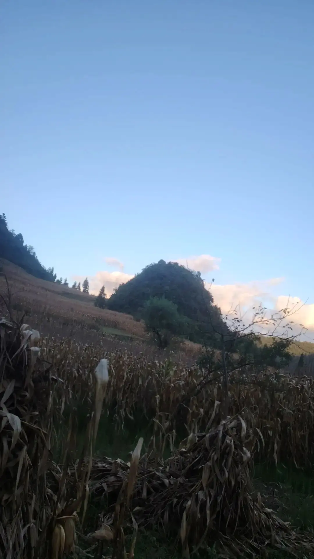 今早和朋友闲聊,听他说要回老家看望父母,简简单单一句话,却瞬 - 抖音