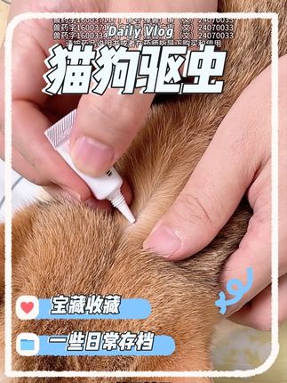 给猫狗驱虫,就用这种从虫卵到成虫都覆盖的,避免反反复复#跳蚤#虱子#蜱虫#猫狗驱虫#维耐斯第四代复方驱虫