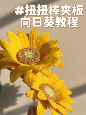 夹板向日葵超简单教程
一起做起来吧#扭扭棒向日葵教程 #扭扭棒向日葵花束 #向日葵手工制作 #高考向日葵花束