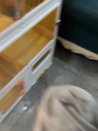 🔥还在为玻璃水印、家具污渍头疼?试试这款鱼鳞抹布! 不掉毛、不掉色,擦玻璃擦桌子一擦即净,水印无踪影~ 不管是居家清洁还是大扫除,有它轻松搞定!保洁阿姨都在用的清洁神器,你确定不入手? #清洁神器 #鱼鳞抹布 #家居清洁 #大扫除必备 #啊春保洁服务