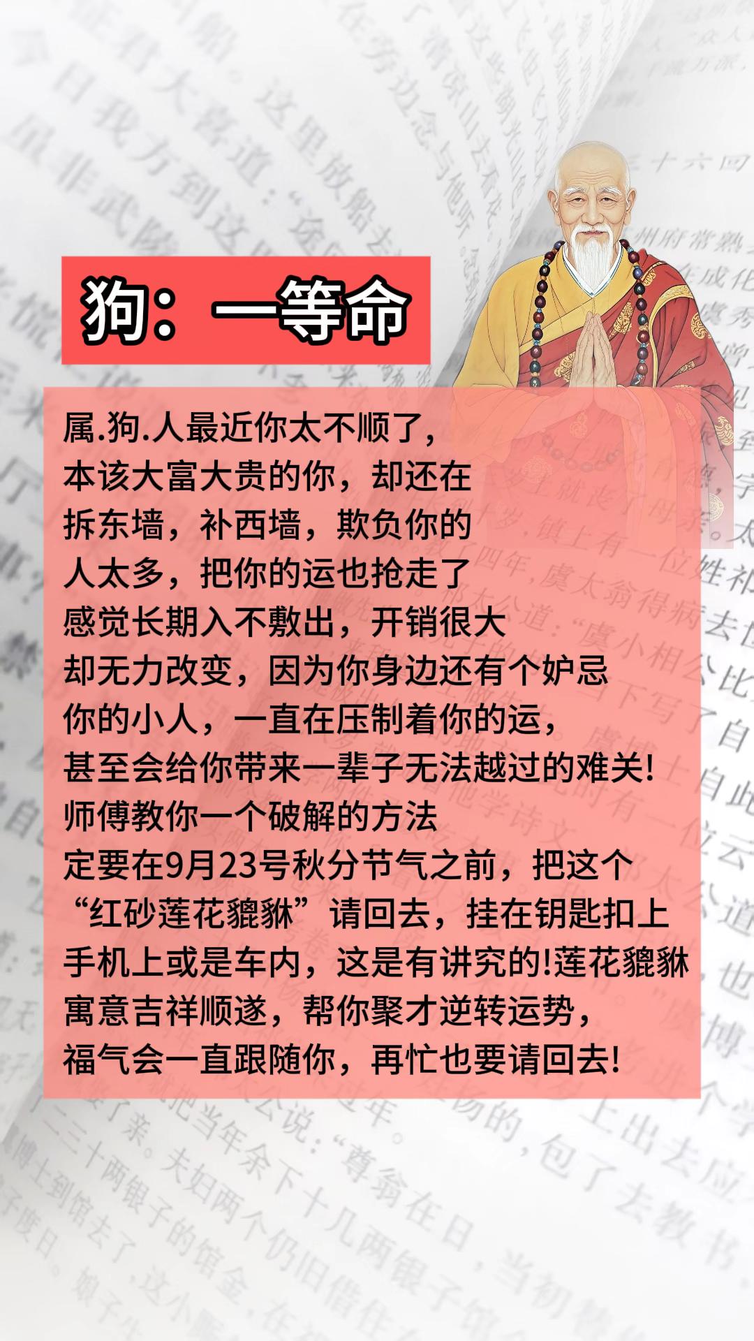 #1970年的狗 #1982年的狗 #1994年的狗