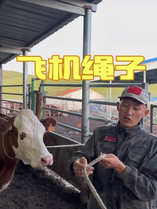 #农村养牛 #原创视频 #飞机绳子