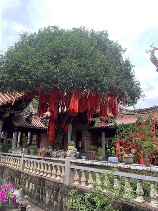 #张予曦毕雯珺真拍了红裙抱 #张予曦的定妆魔法 #深情眼 #毕雯珺 #张予曦毕雯珺