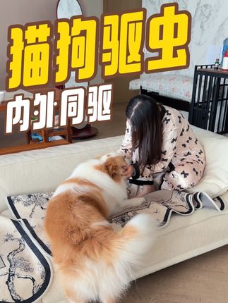 猫猫狗狗莫名其妙的抓耳挠腮,要注意是不是感染了螨虫,驱虫就用吡虫啉莫西克丁内外同驱,全面又安全#新手养宠 #养宠知识 #养宠进阶指南 #猫狗驱虫 #宠物驱虫