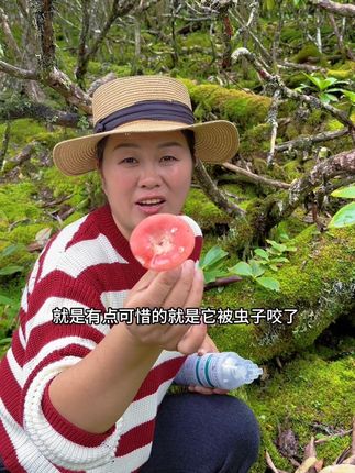 今天上山采蘑菇,体验了一把采蘑菇的快乐,真是一方水土一方鲜,养好了这些藏在土里的小惊喜#采蘑菇 #大自然的馈赠 #记录真实生活 #山货