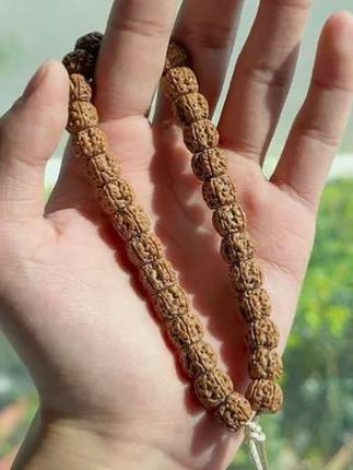 老树梅花小金刚菩提手持手串 #小金刚 #老树小金刚 #老树梅花小金刚 #梅花小金刚 #小金刚菩提手持