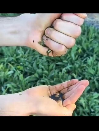 #爱了爱了 #睫毛分享 妥妥滴被种草了#人人都可以是睫毛精 #乌斯玛草睫毛精华液 #发际线