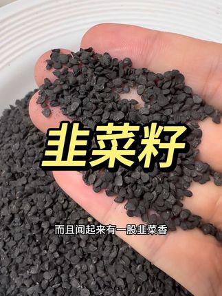 正宗韭菜籽,炒熟可泡茶 韭菜籽#韭菜籽
