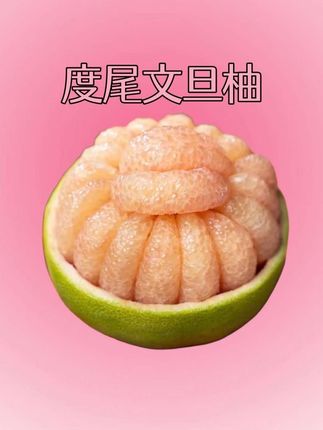 没有“虾线”的柚子终于上市了,超级好剥皮!超级治愈 !#文旦柚 #秋天的第一个柚子 #柚子的正确剥法 #新鲜应季水果