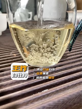 王炸白牡丹,新品活动时间到2025.7.31#茶叶 #今天你喝茶了吗 #召唤茶友 #口粮茶推荐 #白牡丹