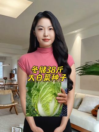 #大白菜种子#冬储38斤白菜 #蔬菜种植#种植小技巧 #超便宜超划算