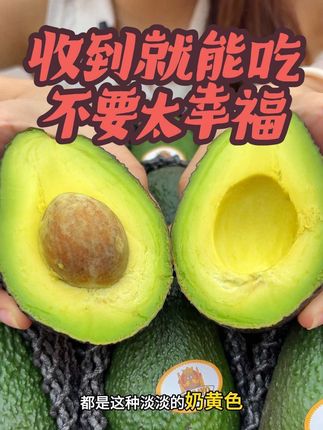 收到货就能吃牛油果,再也不用担心牛油果放不熟了 #牛油果 #牛油果奶昔 #哈斯牛油果 #牛油果吃法 #新鲜应季水果