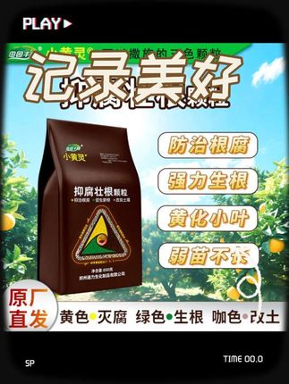 抑腐壮根颗粒有机肥料生根壮苗养根护根防根腐抗重茬蔬菜大棚果树 #种植小技巧 #种植的乐趣 #农民种地不容易 #增产增收才是硬道理 #好物推荐🔥