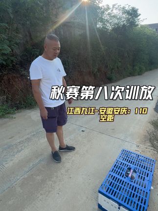 #鸽子 #和平鸽 #养鸽人 #赛鸽 48年老头的比赛季,秋季第八次训放:江西九江-安徽安庆,空距110km ,14羽掉一羽,八次第一次掉鸽子,是一羽带队的老鸽子雌,灰色插条。不知道是不是肚子有蛋被游隼抓了?