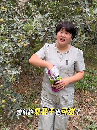 #新疆发货 #新疆头茬黑桑葚干 #桑葚干 #口感好 #营养价值高