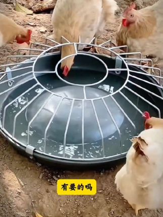 喂鸡食槽,鸡鸭鹅仔猪教料槽,小猪采食槽料槽,猪保育料槽猪槽喂食食盆,实用