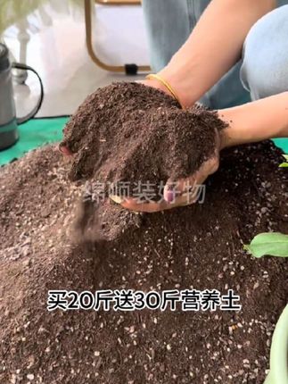 【买2O斤送3O斤】营养土养花专用种菜种花大包花卉土批发通用型家用#养土