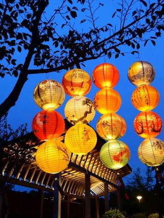 #中秋灯笼 #花灯 #真好看 #灯笼 #夜景