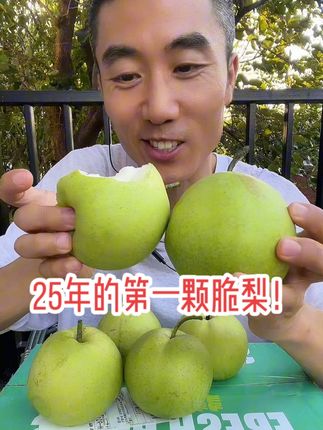 25年的第一颗脆梨来喽!!🍐#原产地水果#精品水果#梨#脆梨#青黄蜜梨