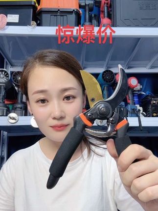 大开口sk5霸王龙修枝剪刀#修枝剪#粗枝剪