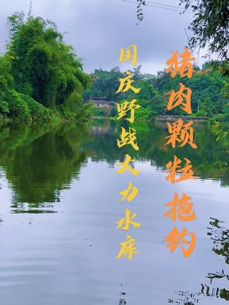 国庆节作业已交,3小时的渔获!#大山深处自然美山清水秀好风光 #钓鱼 #野钓鲫鱼 #钓鱼的乐趣只有钓鱼人懂 #钓鱼人就是这么疯狂