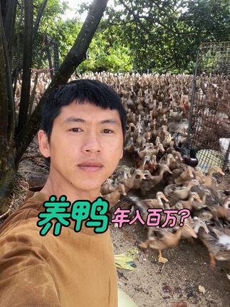 小伙花几十万海边养鸭,网友们都说年入百万,真有那么好挣钱吗 #抖音新农人 #我的乡村生活 #海鸭蛋