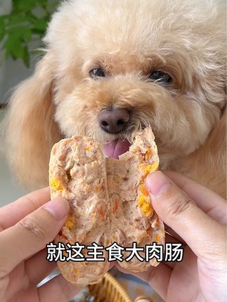 营养美味的主食大肉肠,哪只小狗能抗得住啊#家有馋狗 #萌宠好物 #元气软软主食肠